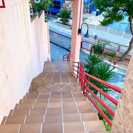 Don Miguel 2 - Aloturin *